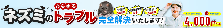 ねずみ相談・無料現地調査のイメージ
